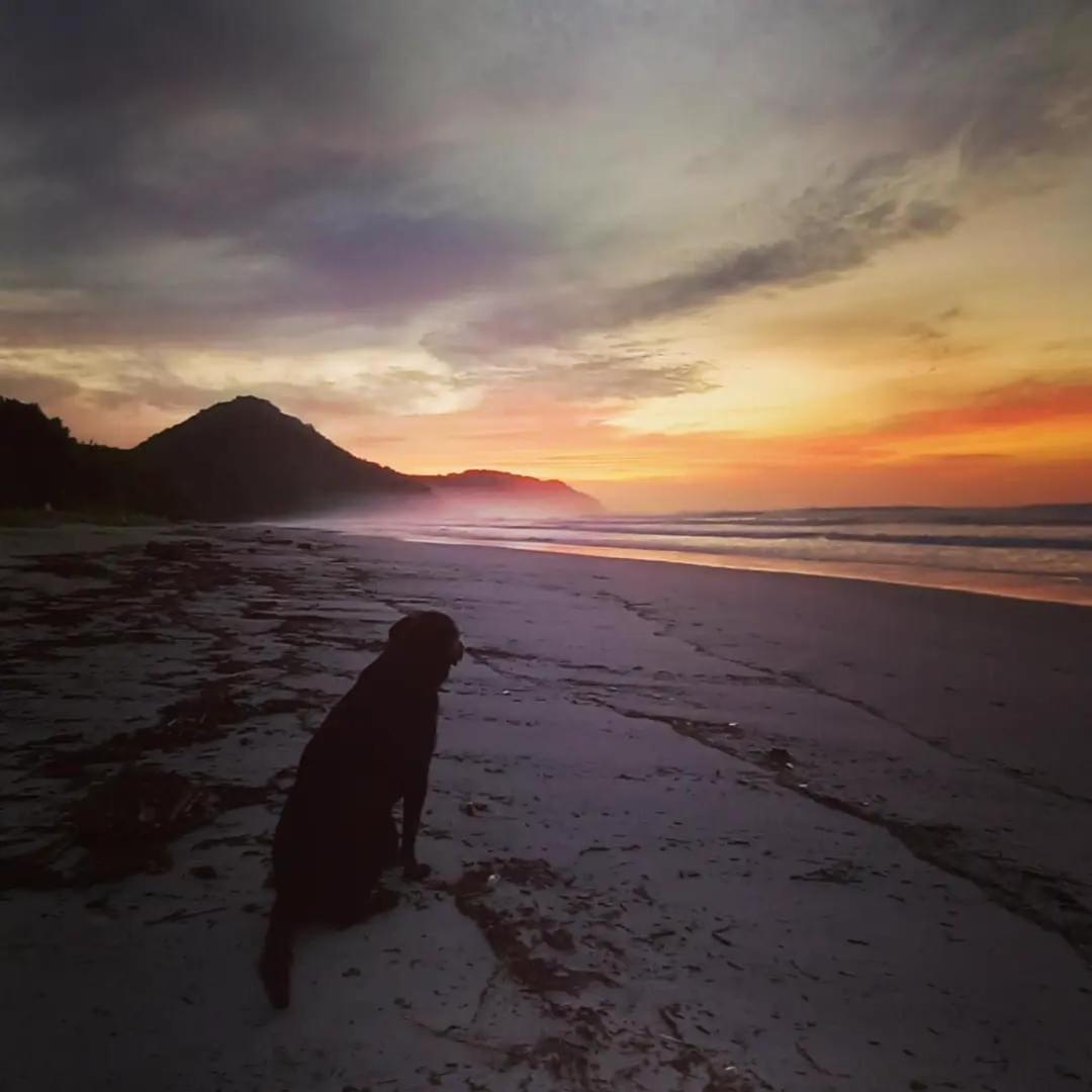 Praia De Itamambuca- Casa Charmosa E Iluminada อูบาตูบา ภายนอก รูปภาพ